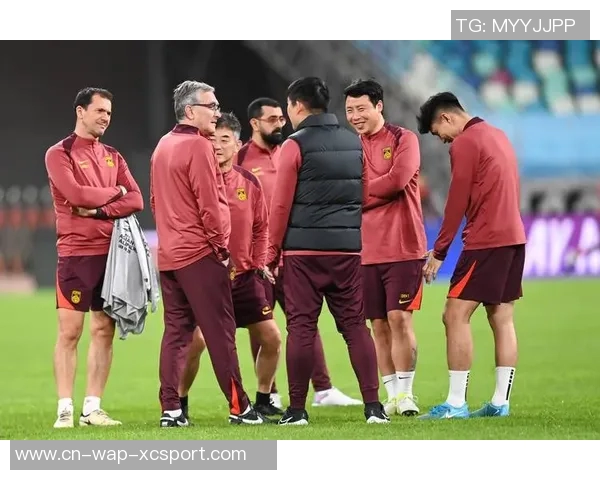 专家表示澳大利亚未发现入籍球员违规上场的证据