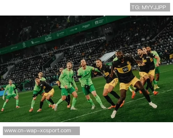 霍芬海姆迎战勒沃库森争夺德甲积分榜关键战役